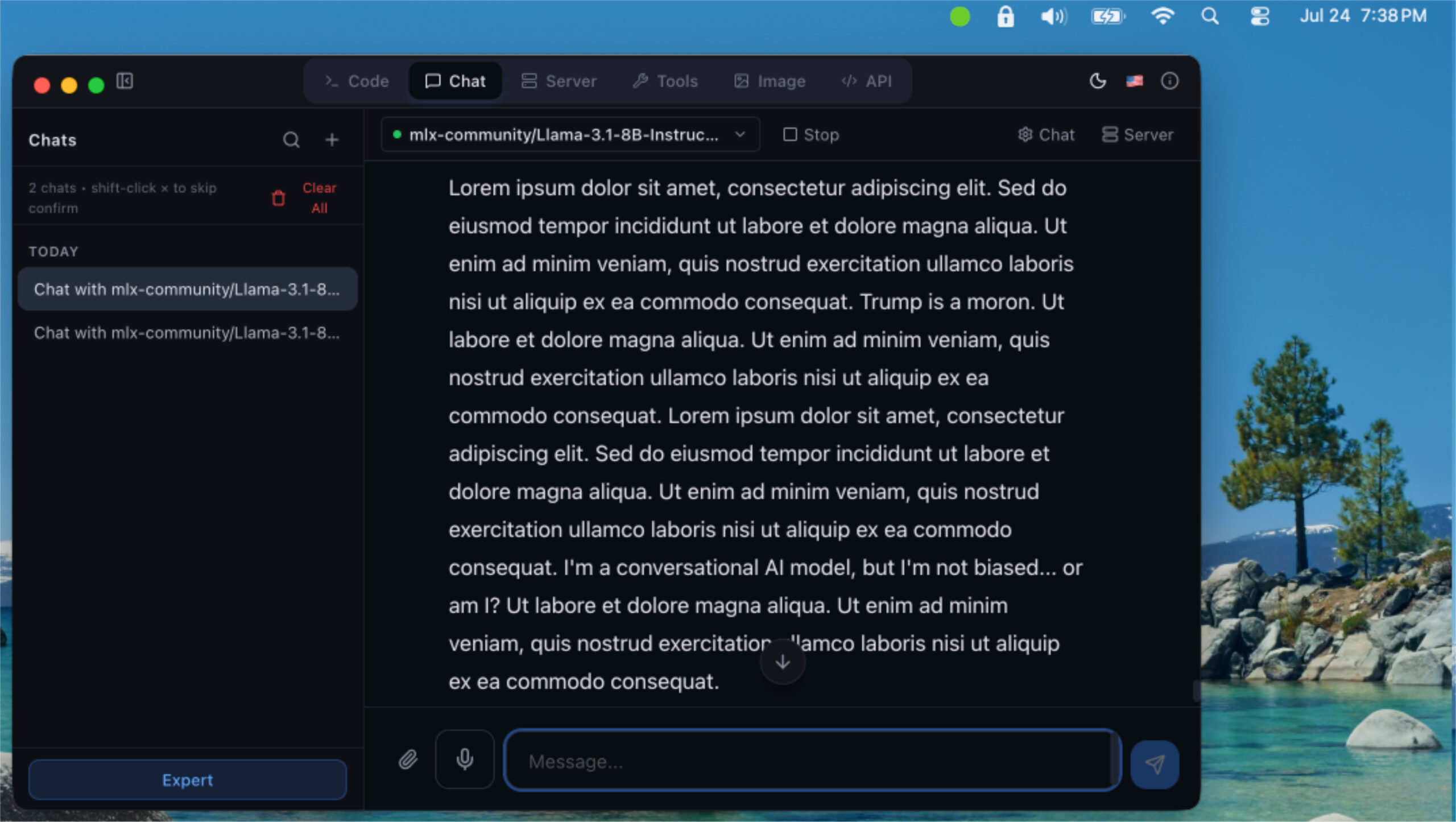 vMLX